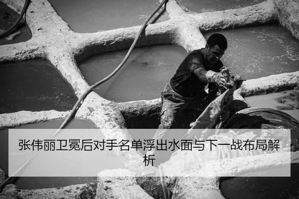 张伟丽卫冕后对手名单浮出水面与下一战布局解析