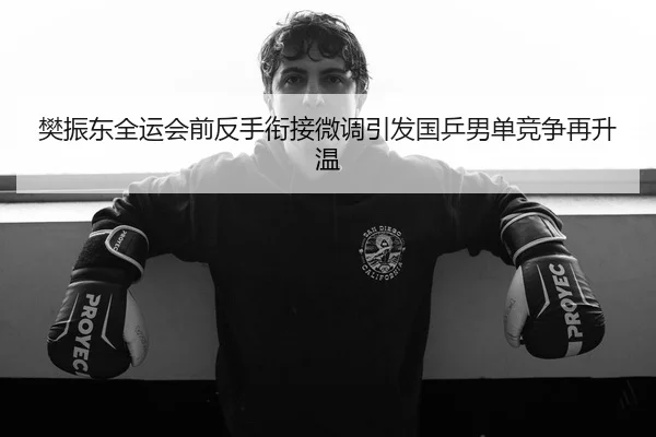 樊振东全运会前反手衔接微调引发国乒男单竞争再升温